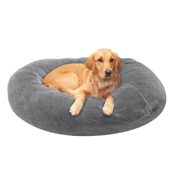 Wayfair Chew + Heal Extra Large Dog Beds On Sale You'll Love in 2022